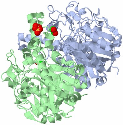 Image Biological Unit 1