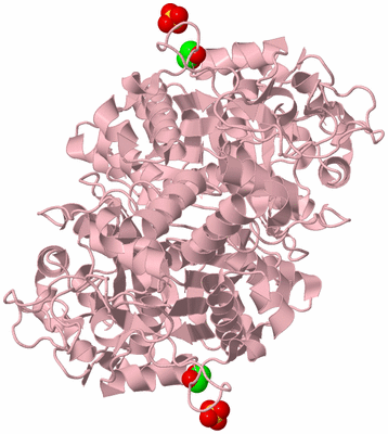 Image Biological Unit 2