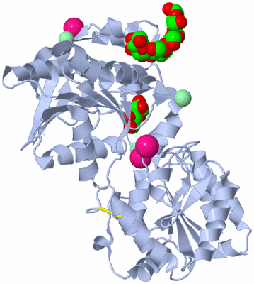 Image Biological Unit 1