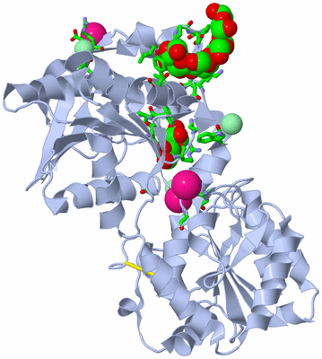 Image Biol. Unit 1 - sites