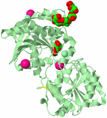 Image Biological Unit 2