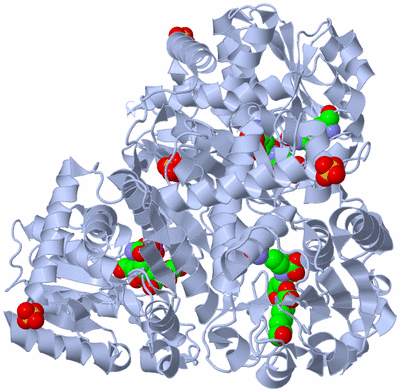 Image Biological Unit 1