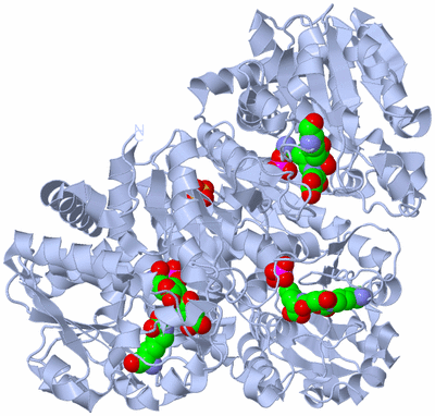 Image Biological Unit 1