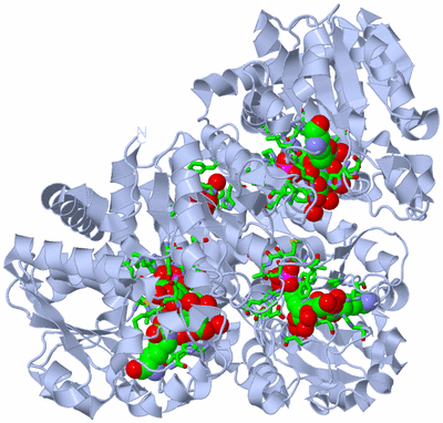 Image Biol. Unit 1 - sites