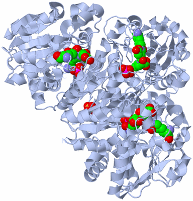 Image Biological Unit 1