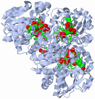 Image Biol. Unit 1 - sites