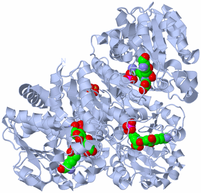 Image Biological Unit 1