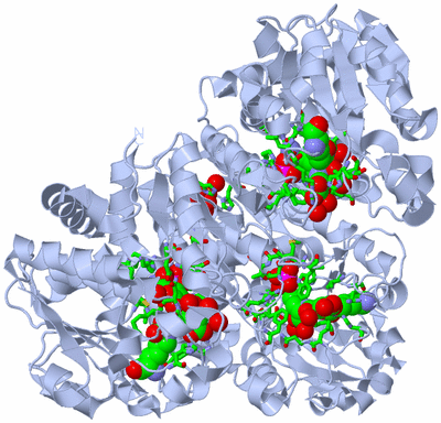 Image Biol. Unit 1 - sites