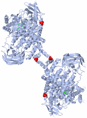 Image Biological Unit 1