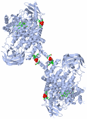 Image Biol. Unit 1 - sites