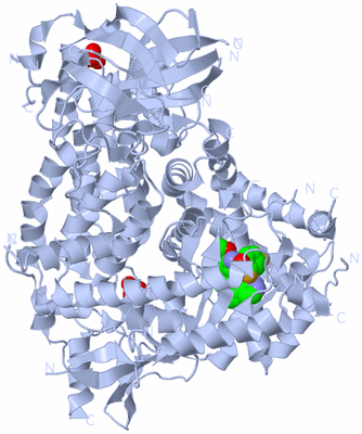 Image Biological Unit 2