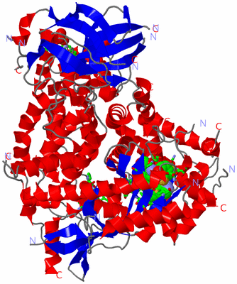 Image Asym. Unit - sites