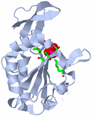 Image Biol. Unit 1 - sites