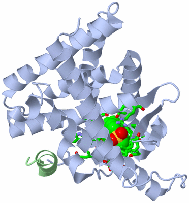 Image Biol. Unit 1 - sites