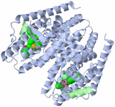 Image Biological Unit 2