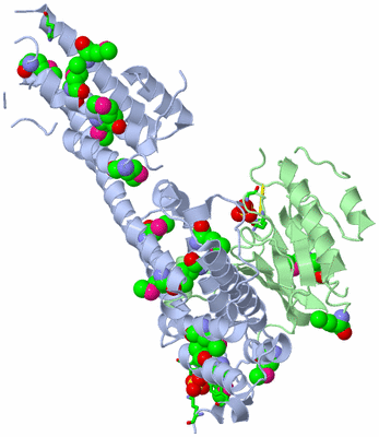 Image Biol. Unit 1 - sites