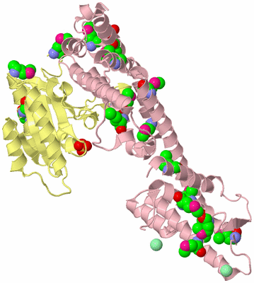 Image Biological Unit 2