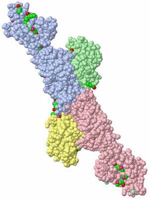 Image Asym. Unit - sites