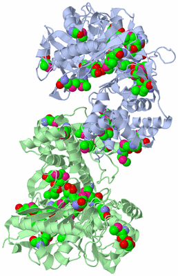 Image Biological Unit 2