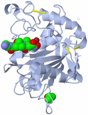 Image Biological Unit 1