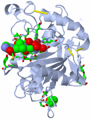 Image Biol. Unit 1 - sites