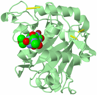 Image Biological Unit 2