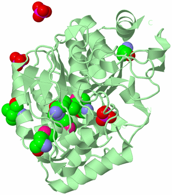 Image Biological Unit 2