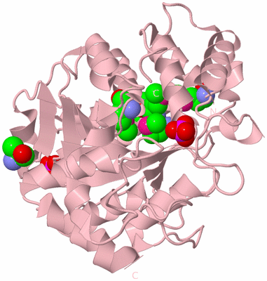 Image Biological Unit 3