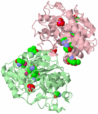 Image Biological Unit 5