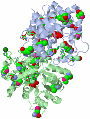 Image Asym./Biol. Unit - sites