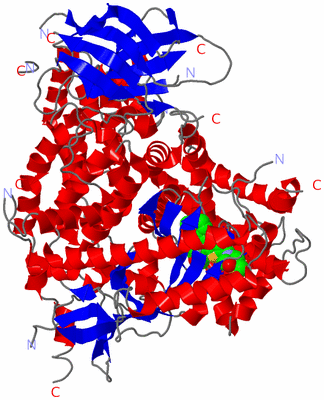 Image Asym./Biol. Unit