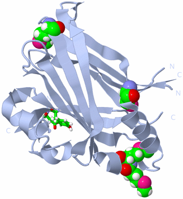 Image Biol. Unit 1 - sites