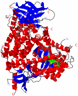 Image Asym./Biol. Unit