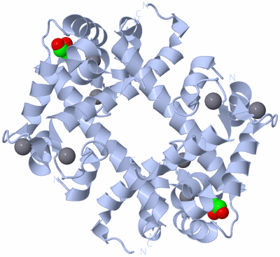 Image Biological Unit 1