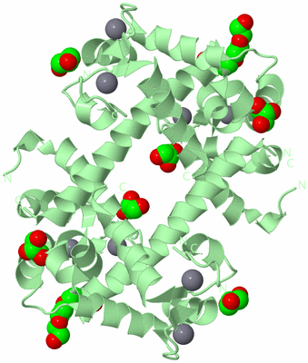 Image Biological Unit 2