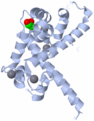 Image Biological Unit 3