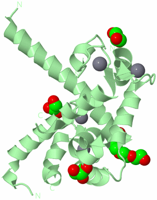 Image Biological Unit 4