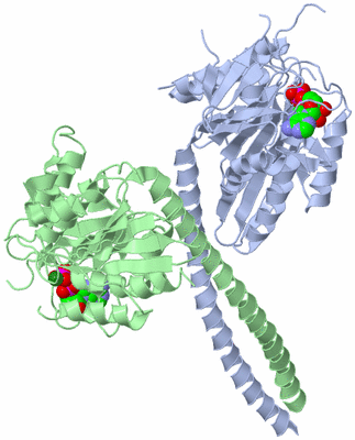 Image Asym./Biol. Unit