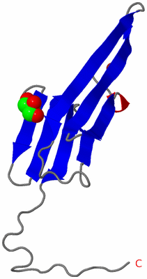 Image Asymmetric Unit