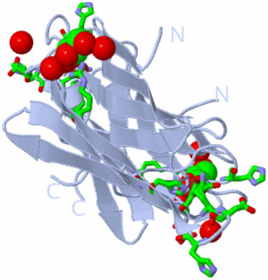 Image Biol. Unit 1 - sites