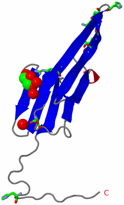 Image Asym. Unit - sites