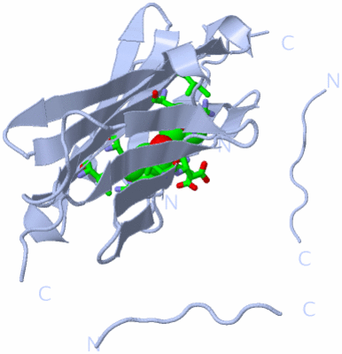 Image Biol. Unit 1 - sites