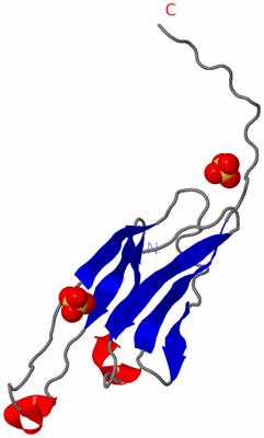 Image Asymmetric Unit