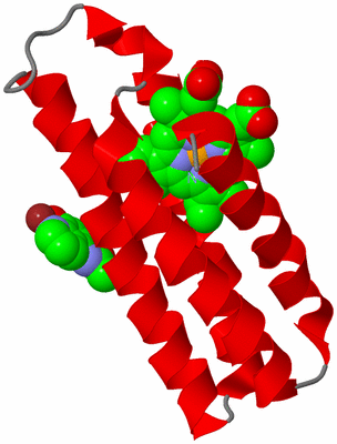 Image Asymmetric Unit