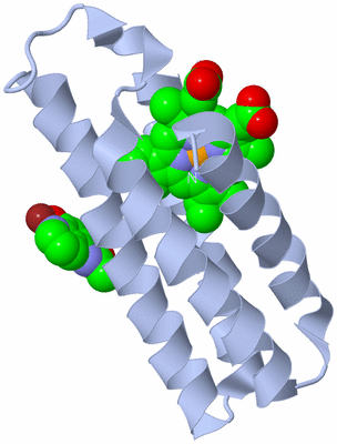 Image Biological Unit 2