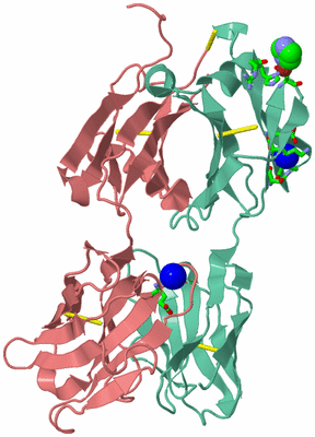 Image Asym./Biol. Unit - sites