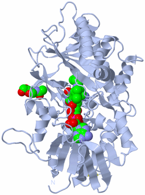 Image Biological Unit 1