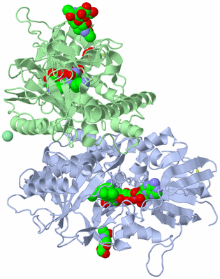 Image Biological Unit 3