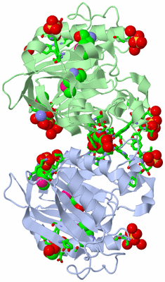 Image Biol. Unit 1 - sites