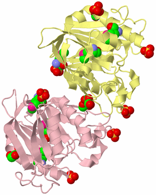 Image Biological Unit 2